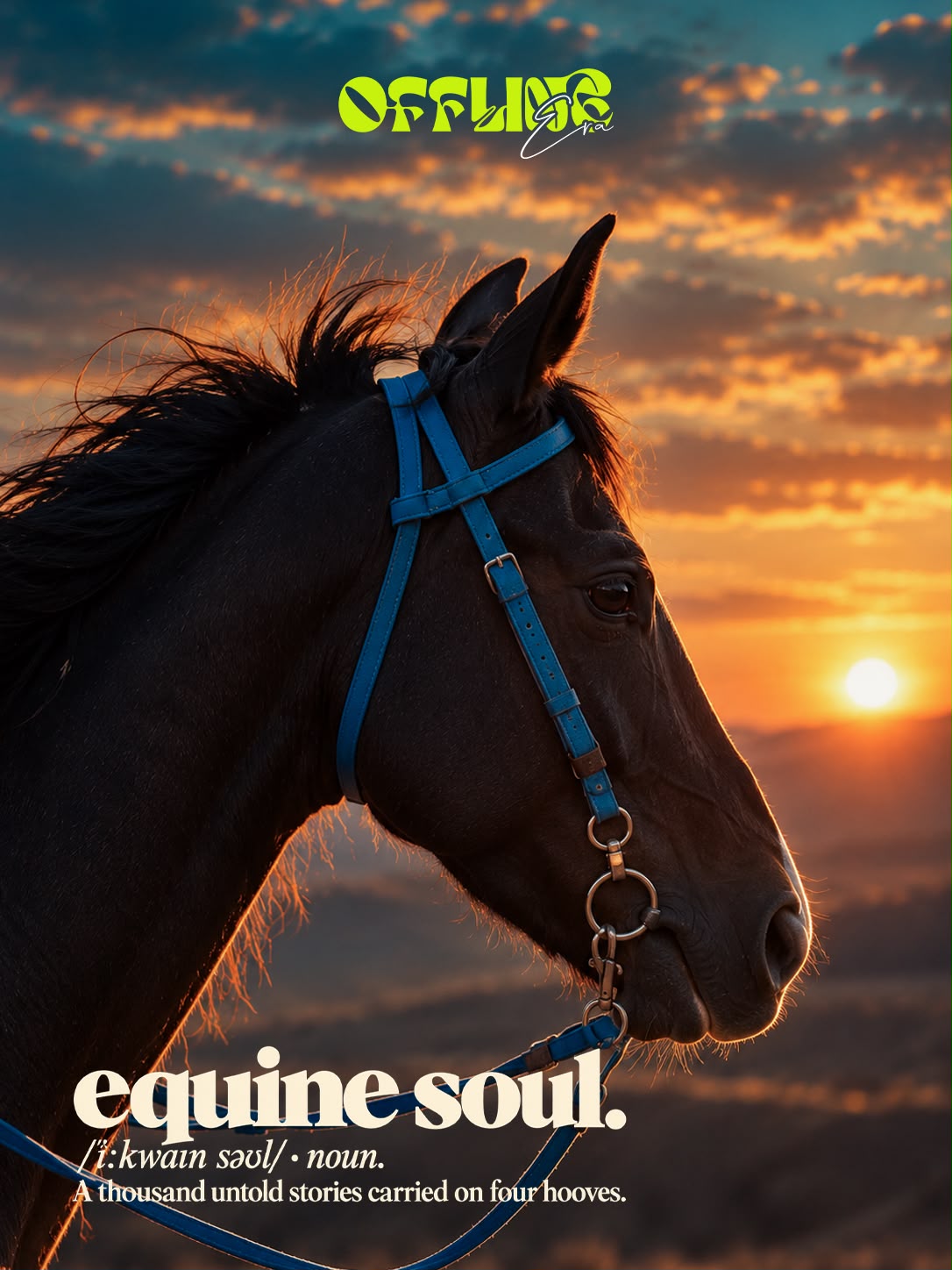 Sunset Horse Riding & Feteer Meetup (9 of 10)