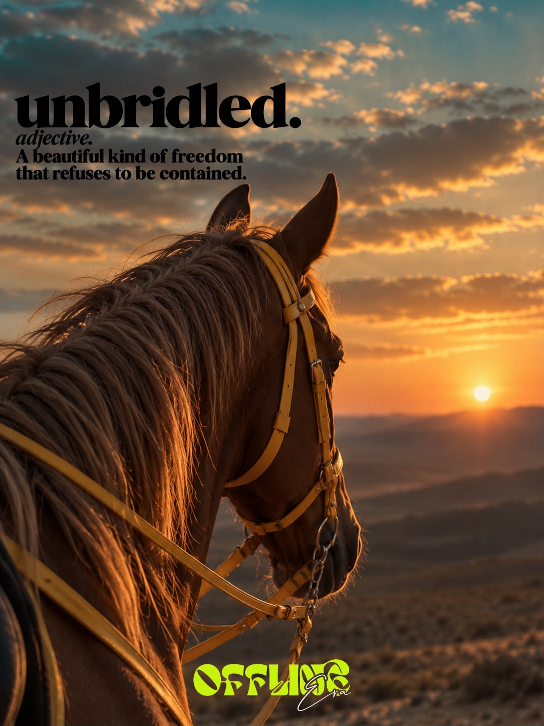 Sunset Horse Riding & Feteer Meetup (10 of 10)