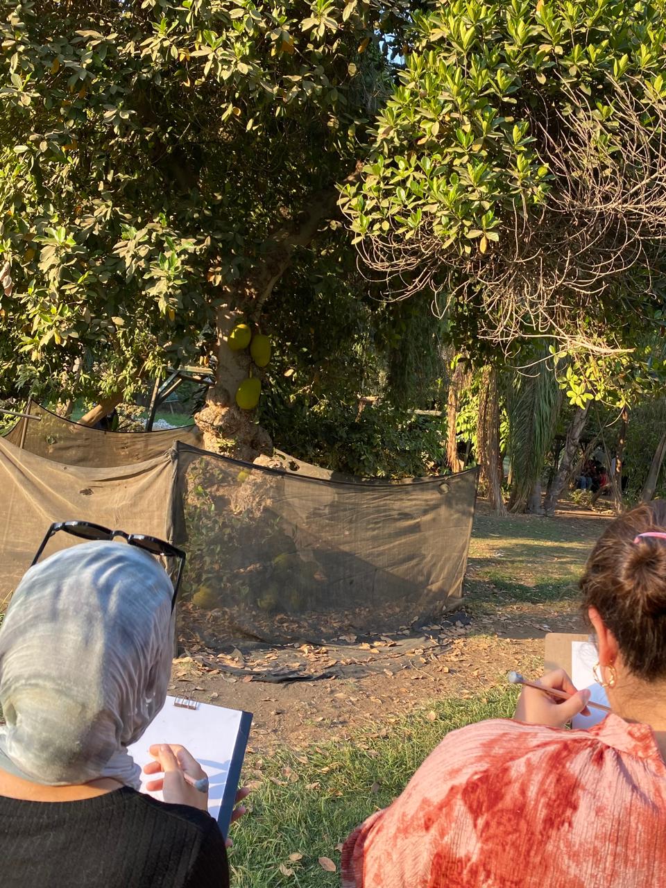 The Patterns We Share (Nature, Yoga and Art session) (6 of 12)