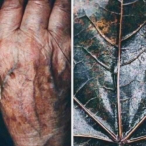 The Patterns We Share (Nature, Yoga and Art session) (12 of 12)